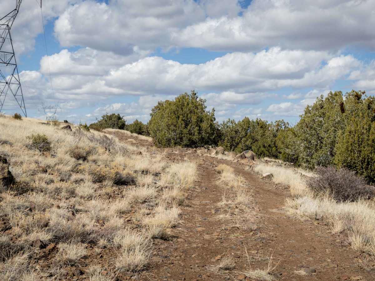 Powerline Problem photo 4