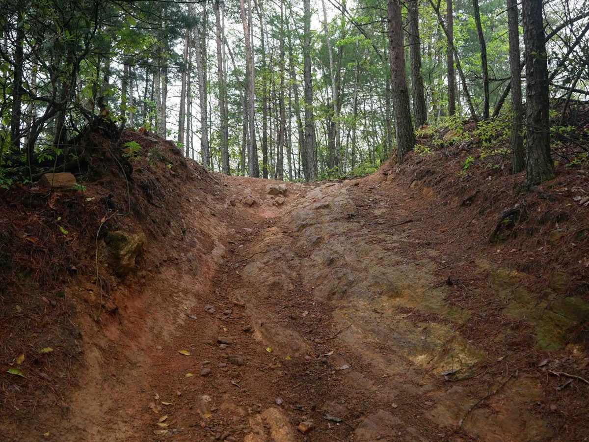 10C trail photo