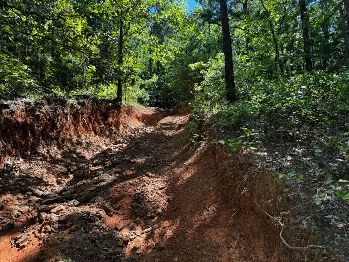 Houston Creek Trail photo 6