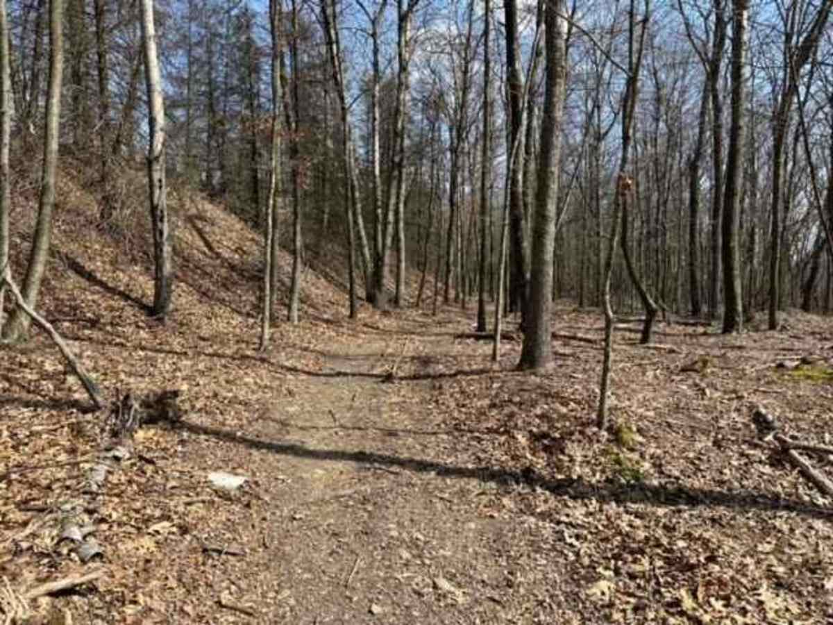 Ashland 106 trail photo