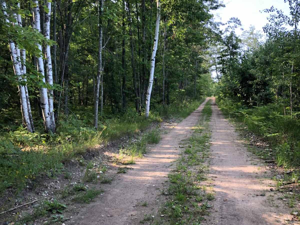 Lookout Road photo 3