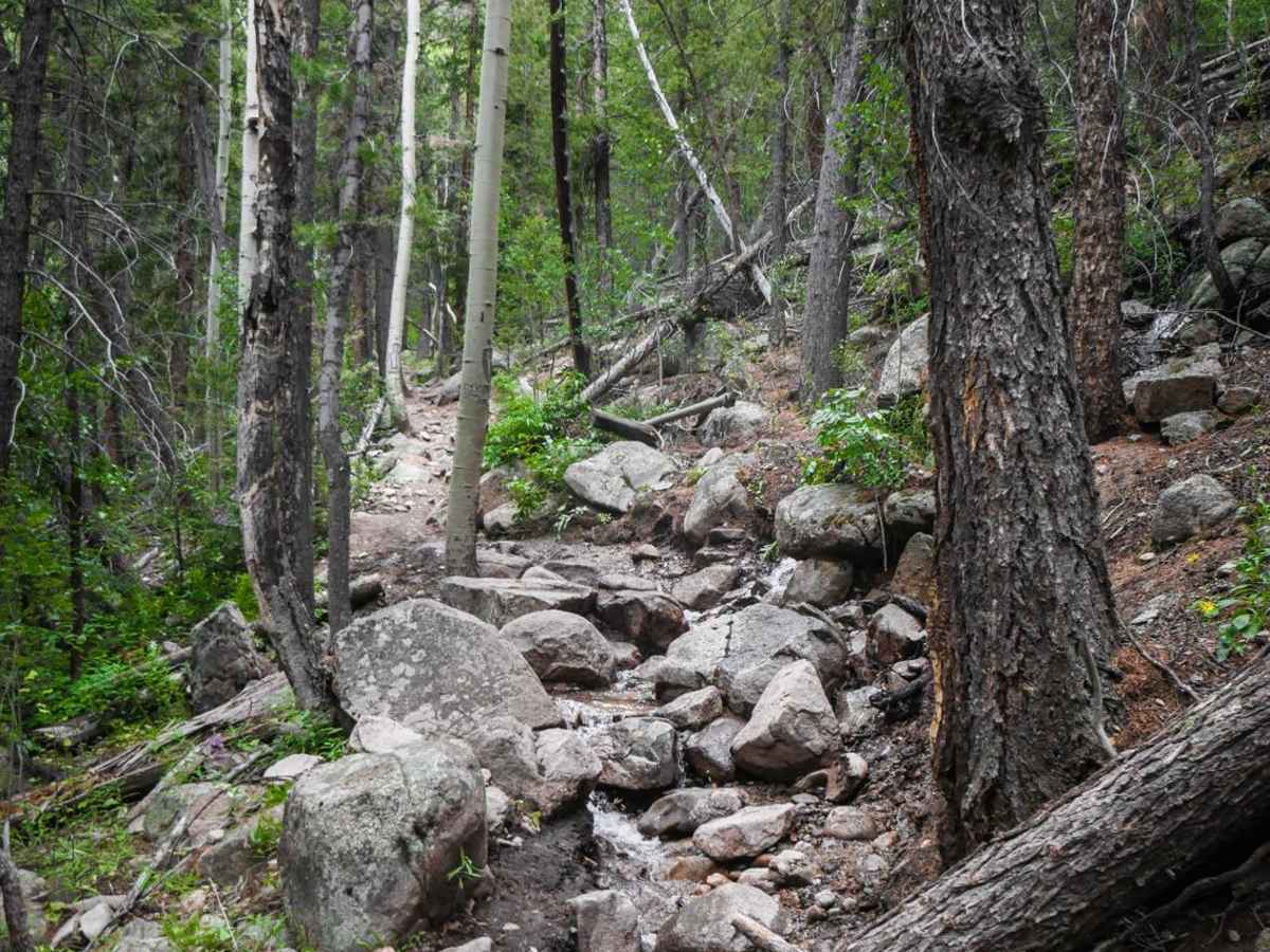 Agate Creek trail photo