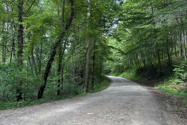 Rock Creek Road - FS 69