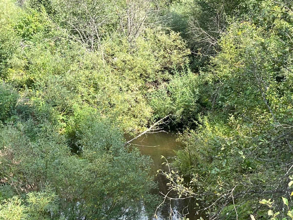 Elkberry Creek Road photo 3