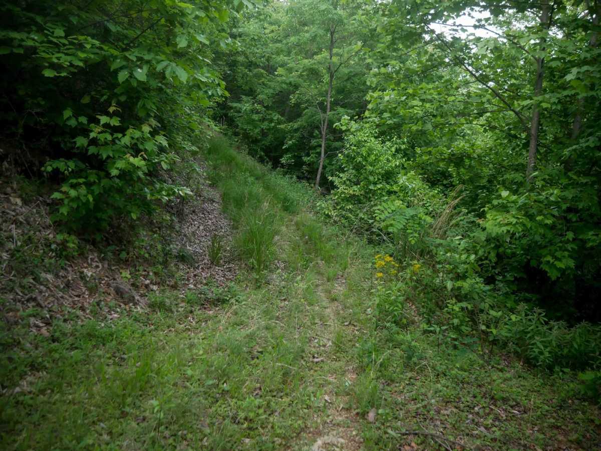 MV54 photo 5