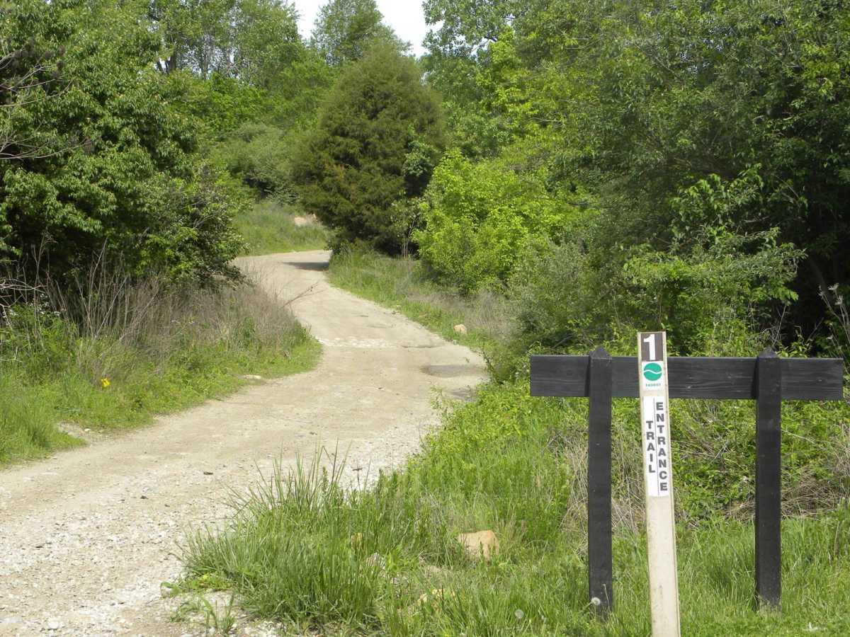 Trail 1 trail photo