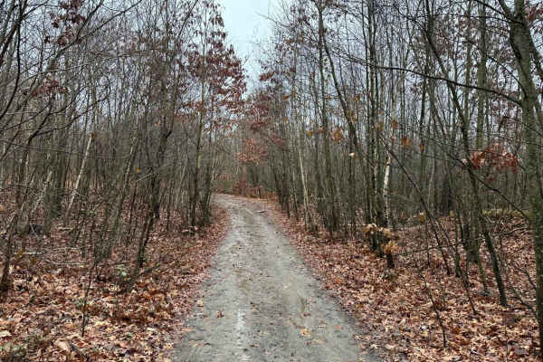 ATV Trail 27