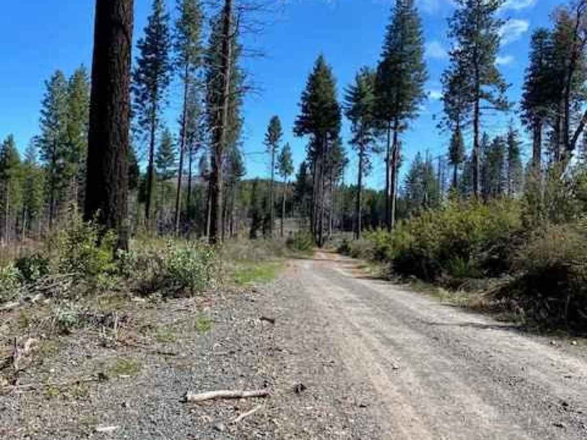 Forebay photo 2
