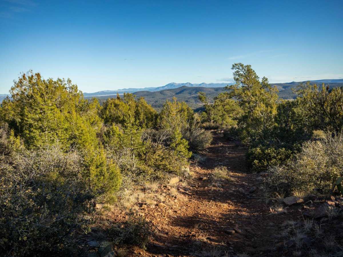 FR 9869A photo 2
