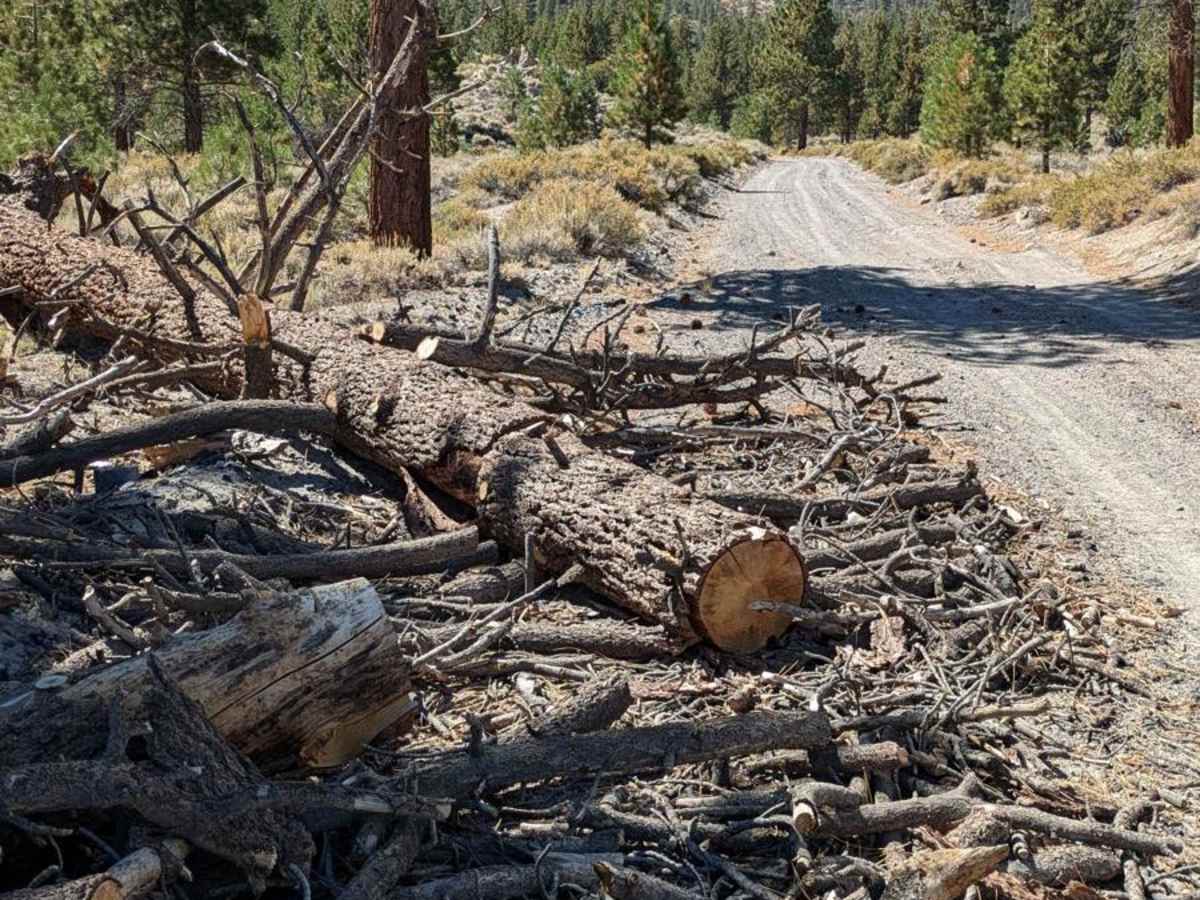 McGee Canyon West photo 4