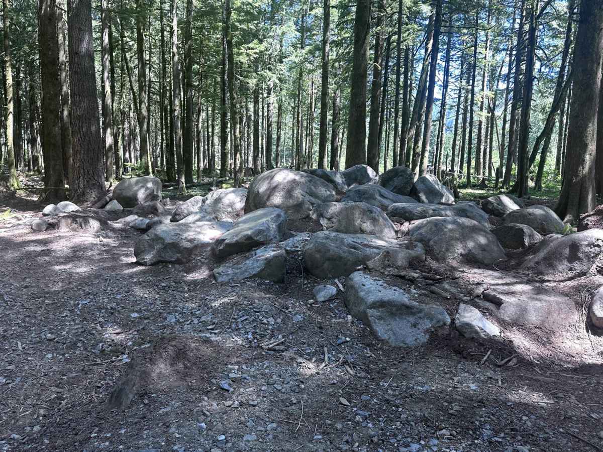 Driveway trail photo