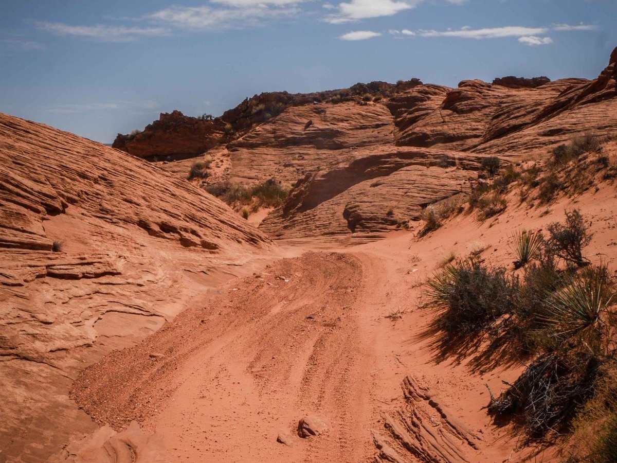 Q44 ORV Route photo 5