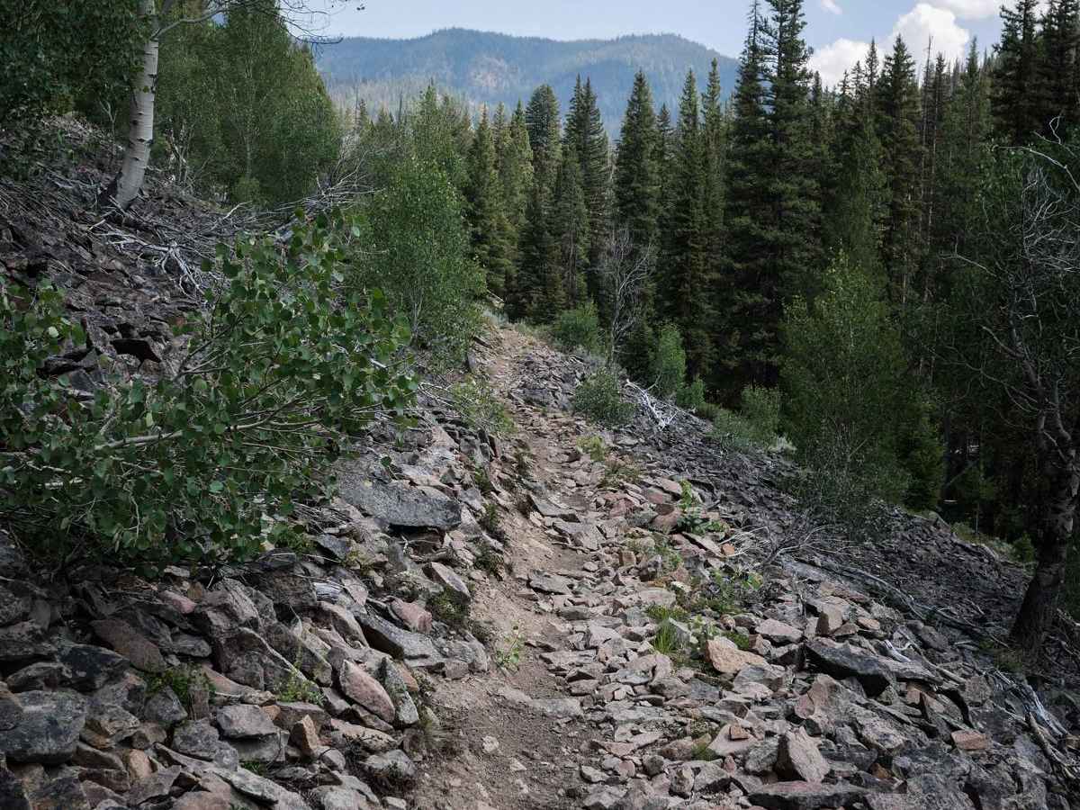 Five Mile Creek photo 4