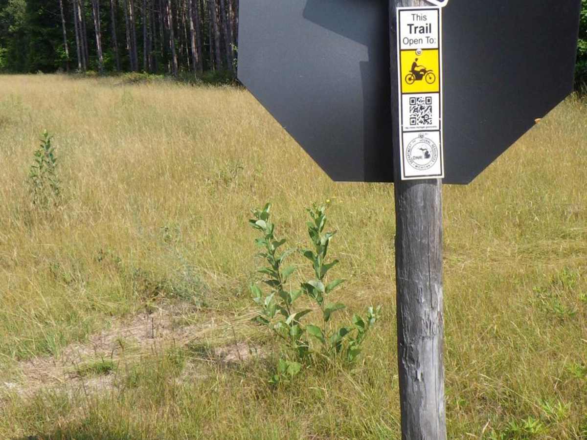 Foreman Lake Motorcycle Trail photo 4