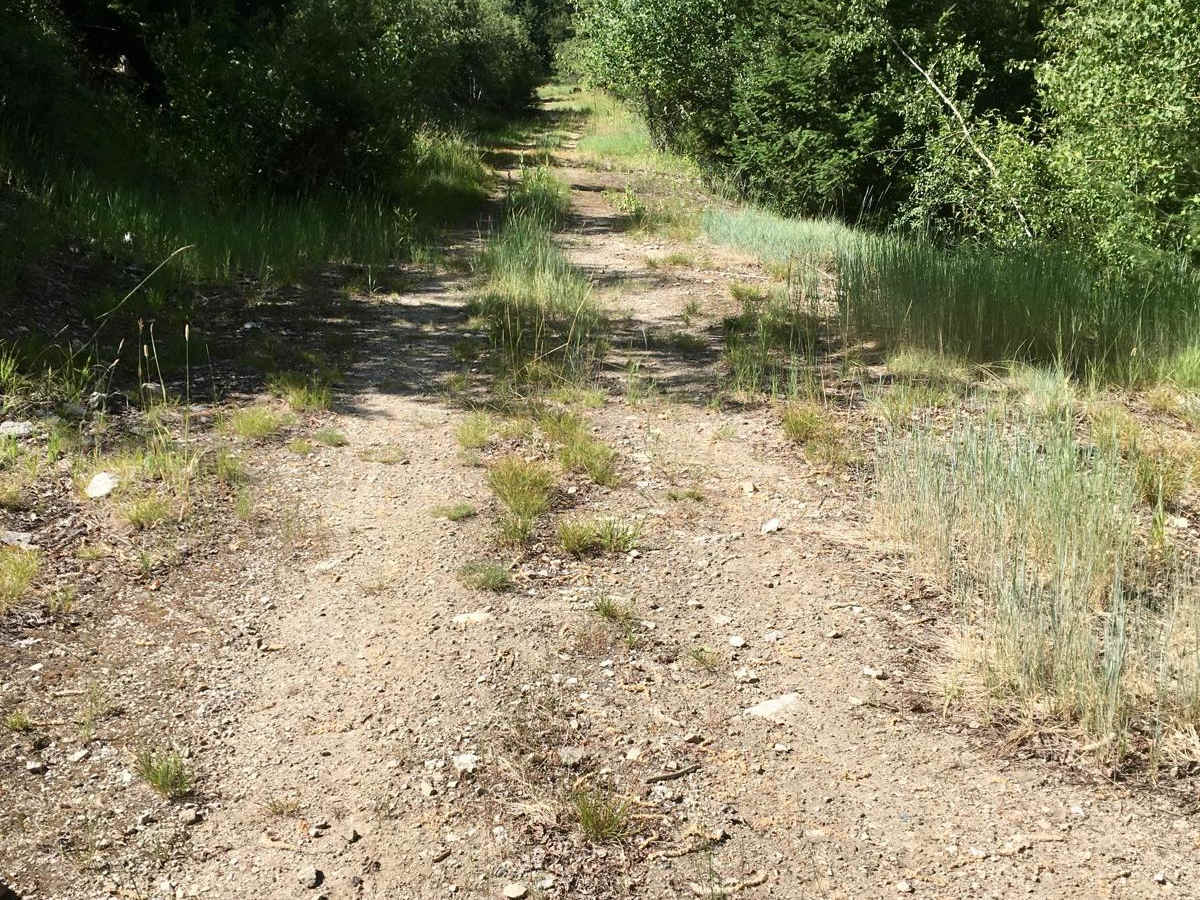 Cold Spring Hill Road trail photo
