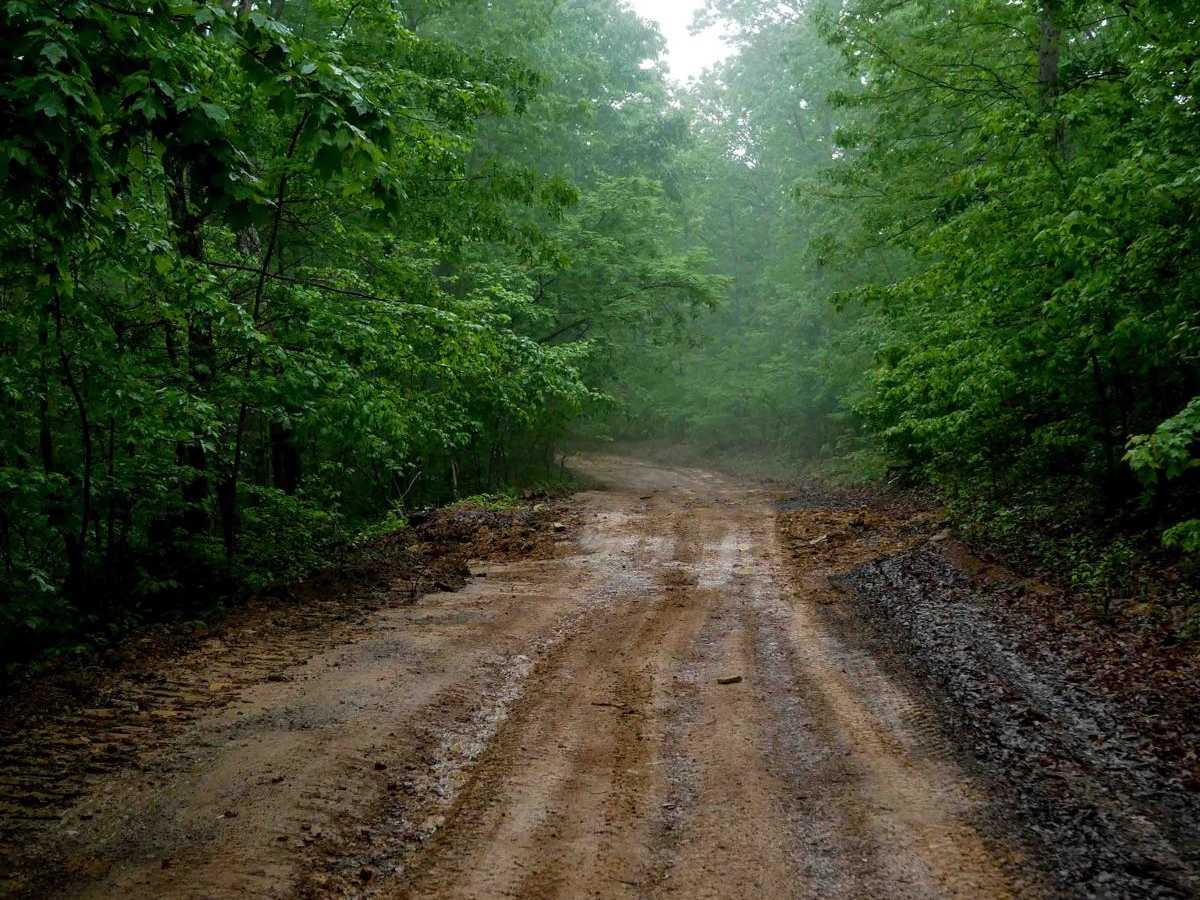 IB 12 trail photo