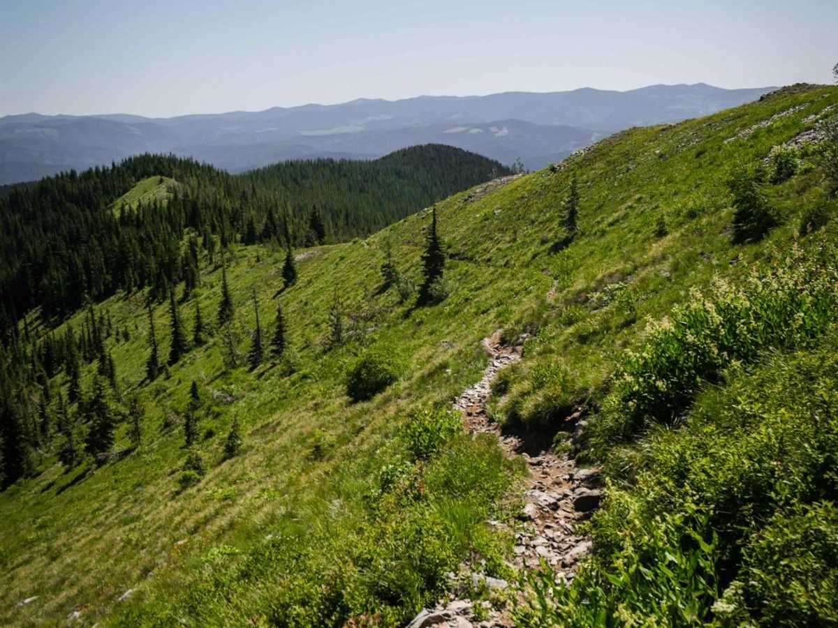 Cedar Mountain trail photo
