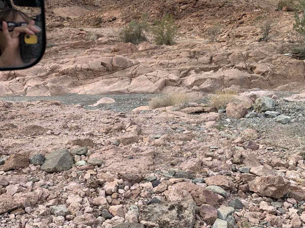 Muggins Mountain Red Bluff East photo 3