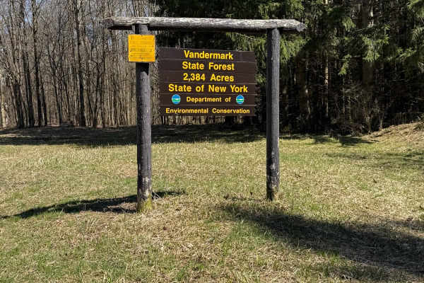 Vandermark Bird Forest Road