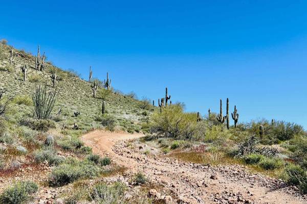 Another Wash Trail BLM 9060