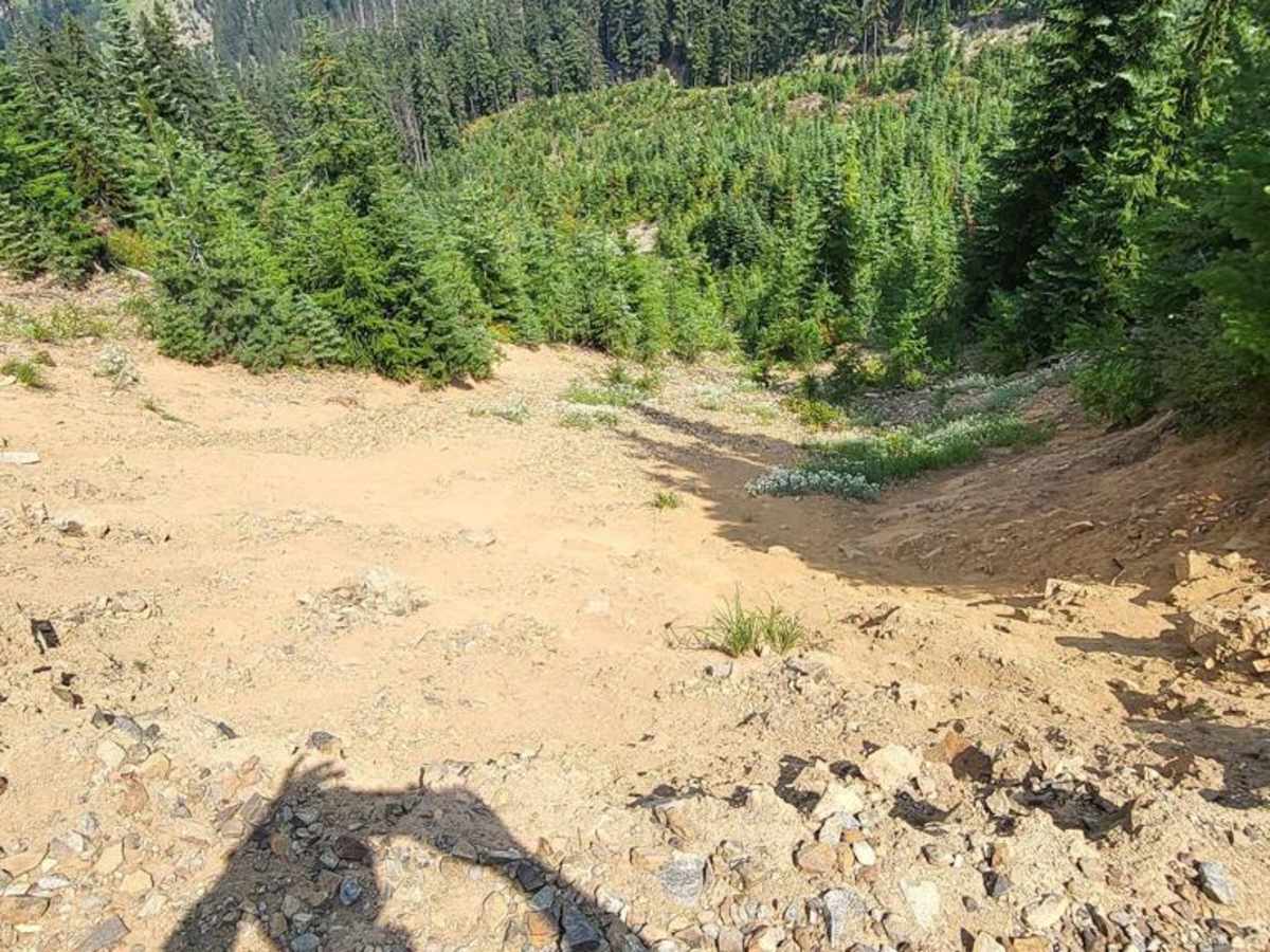 Hawkins Mountain Overlook (washout) photo 3