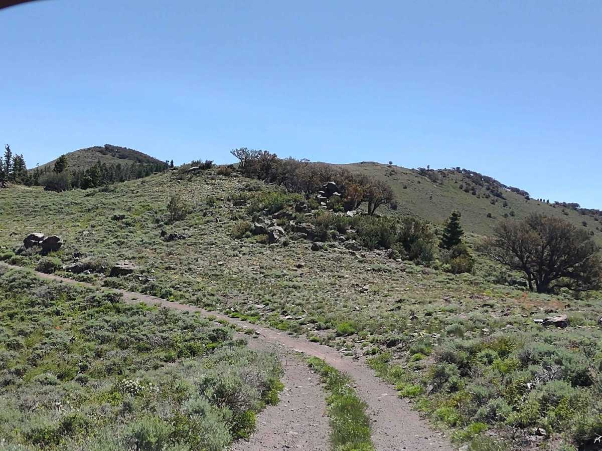 Piute Reservoir Overlook (FS# 41081) photo 6