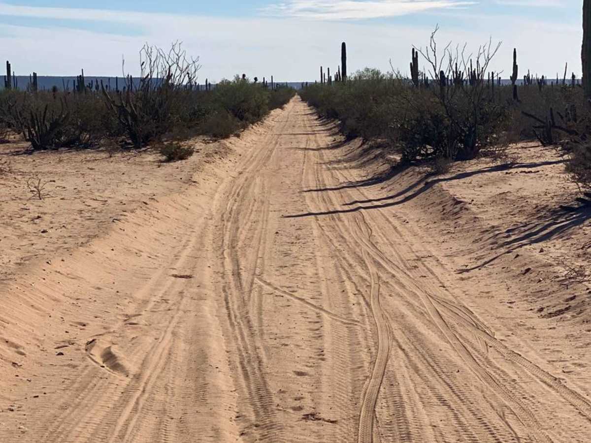 Vizcaino Cutoff photo 2