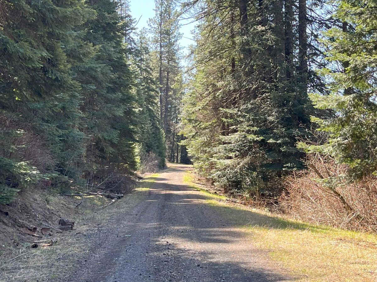 East Fork Big Bear Creek photo 2