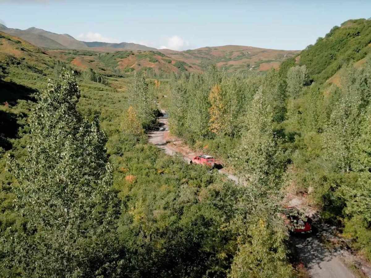 Denali Border photo 3
