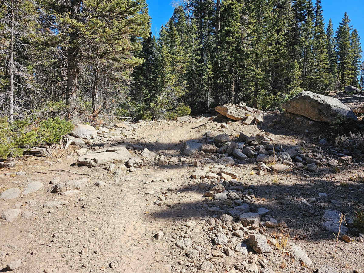 Velvet Lake Road photo 3