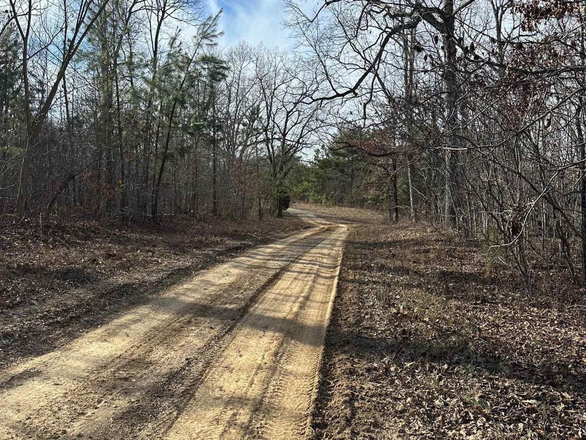 FSR 119 photo 2