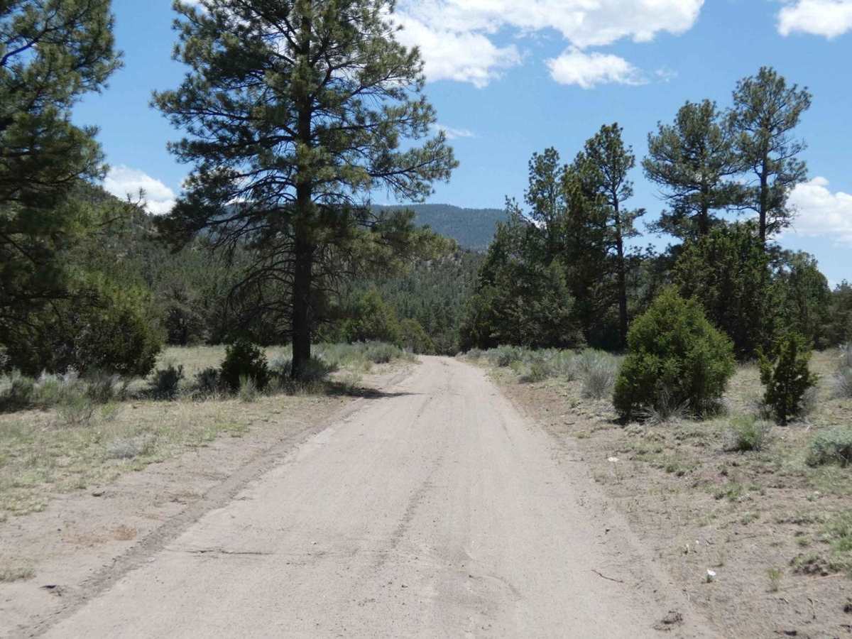Swingle Canyon FS62 photo 5