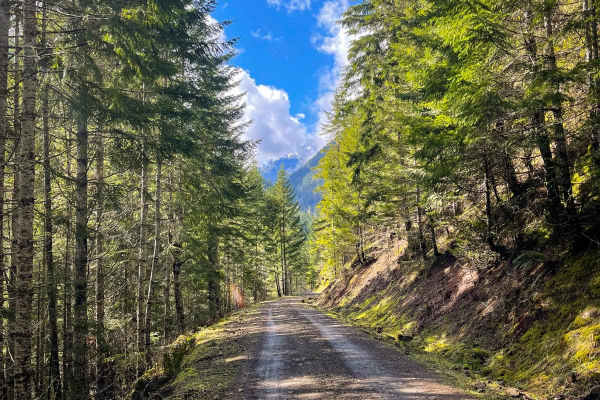 Tunnel Creek Trail