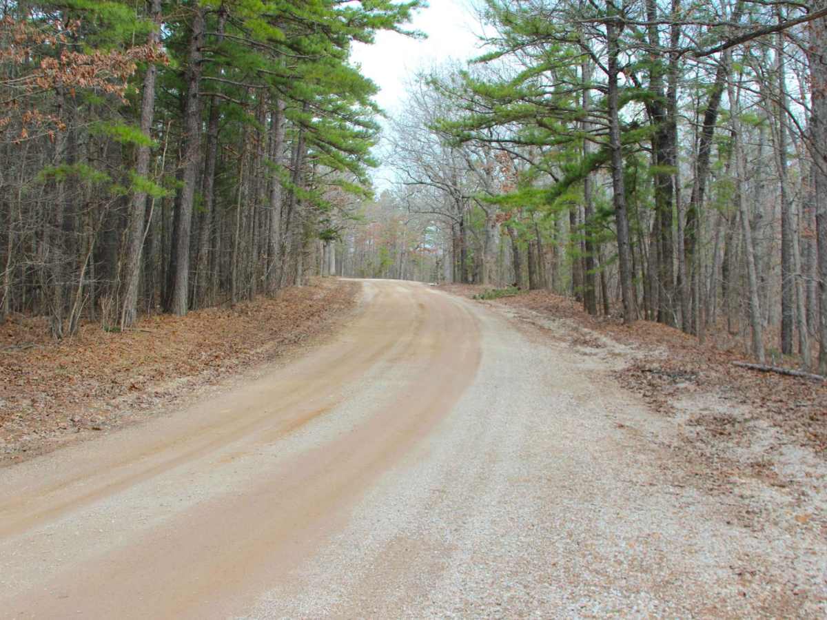 Colen Ridge Road photo 6
