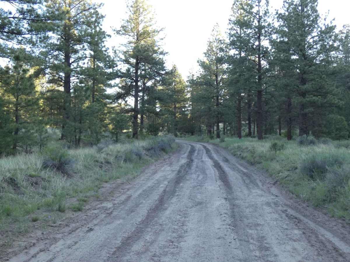 Davenport Canyon FS6 photo 5