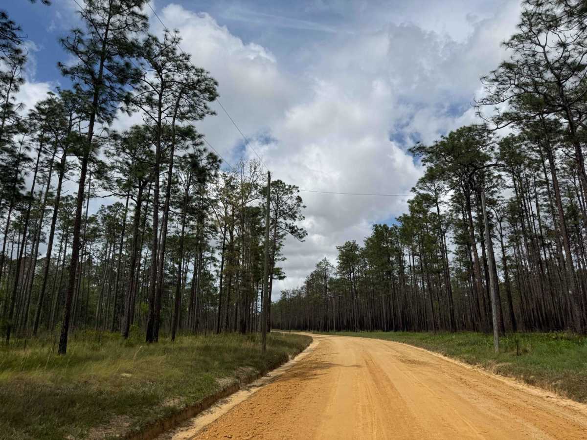Briar Patch Road - FS 123 North photo 5