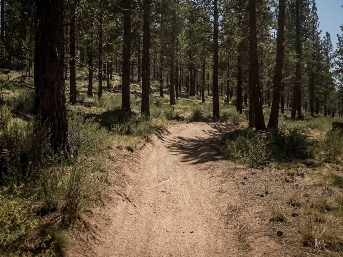 21 trail photo