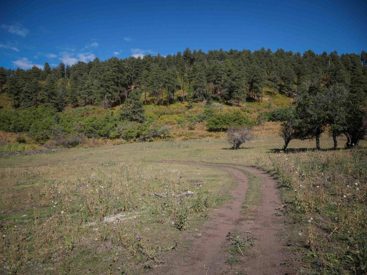 Bear Creek photo 6