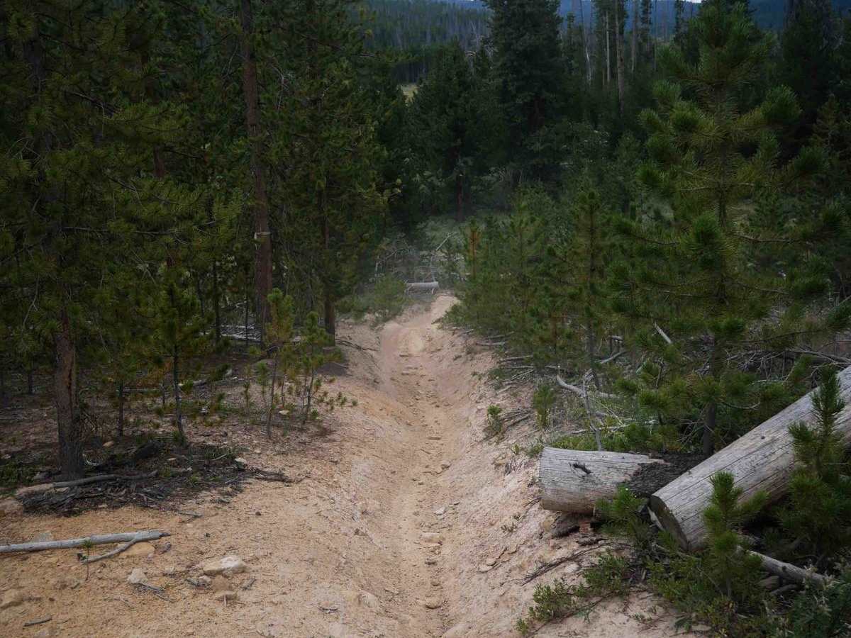 Radial Mountain Trail photo 5
