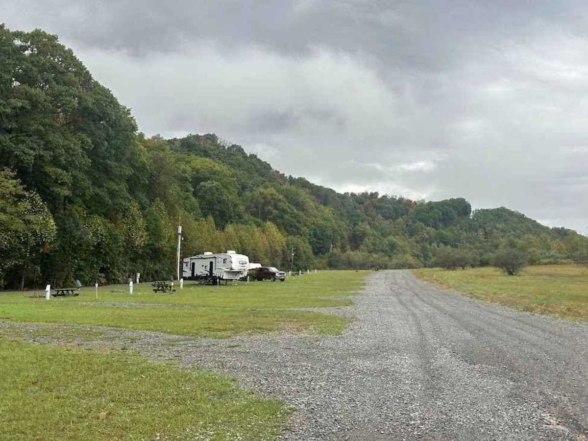 Office and Camping photo 5