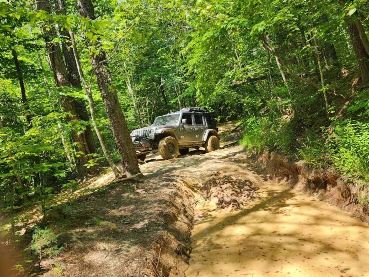Mountain Springs Road photo 5