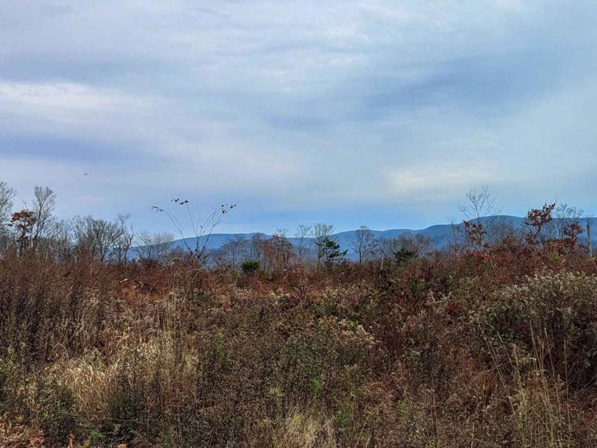 Schaeffer Road photo 2