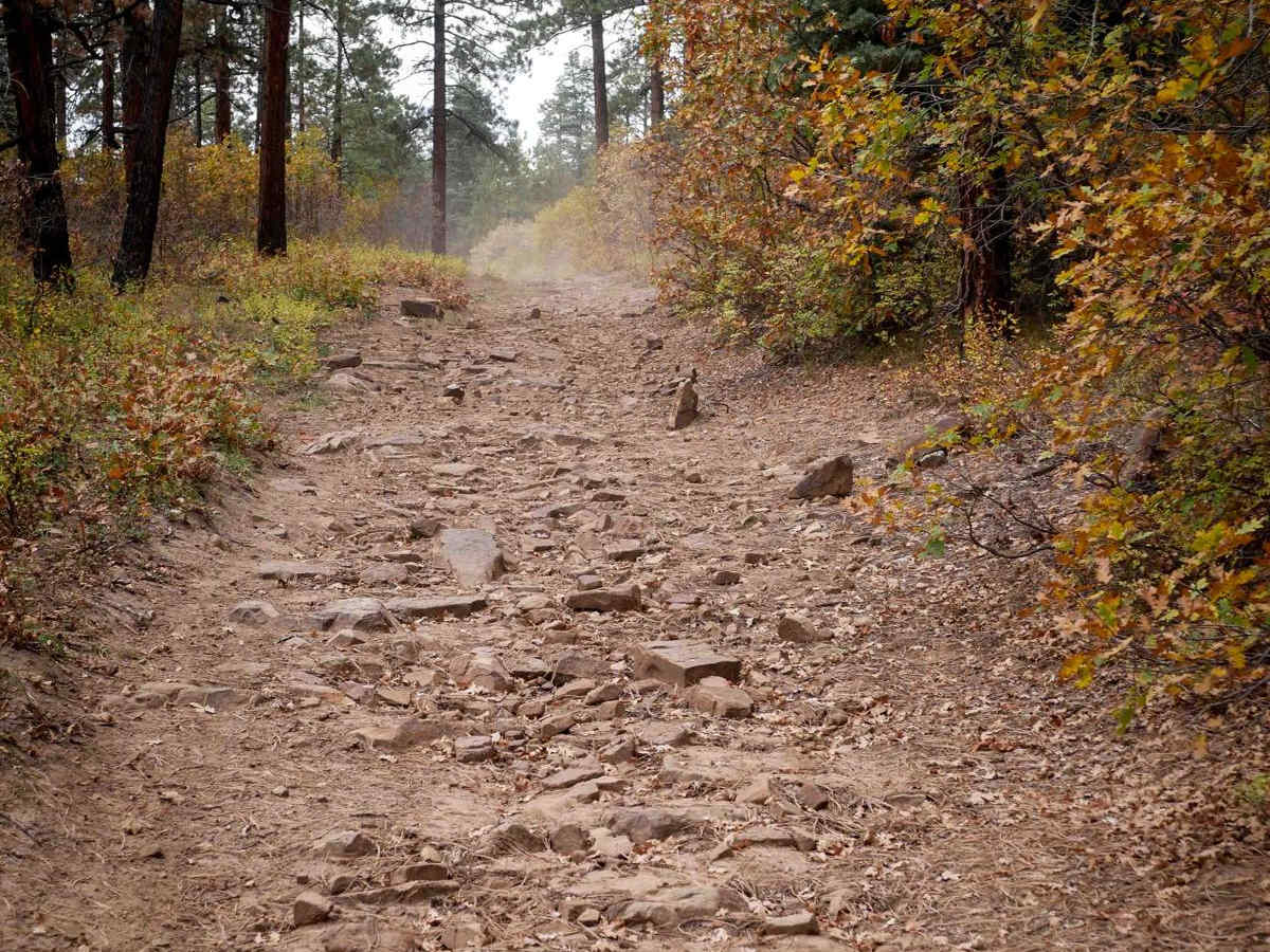First Notch 2 trail photo