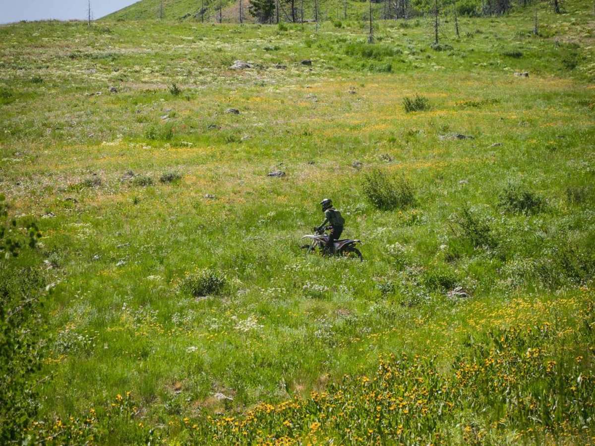 Imperial Gulch photo 5