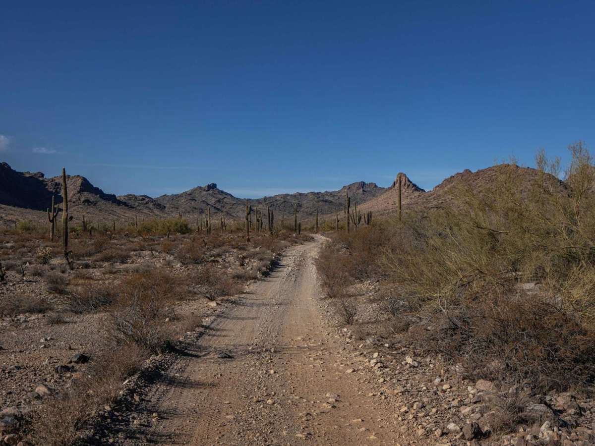 Morning Star Mine photo 6