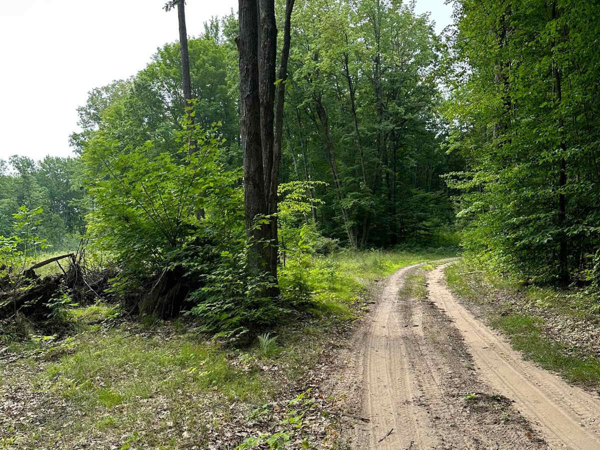 Turtle Lake Trail photo 6