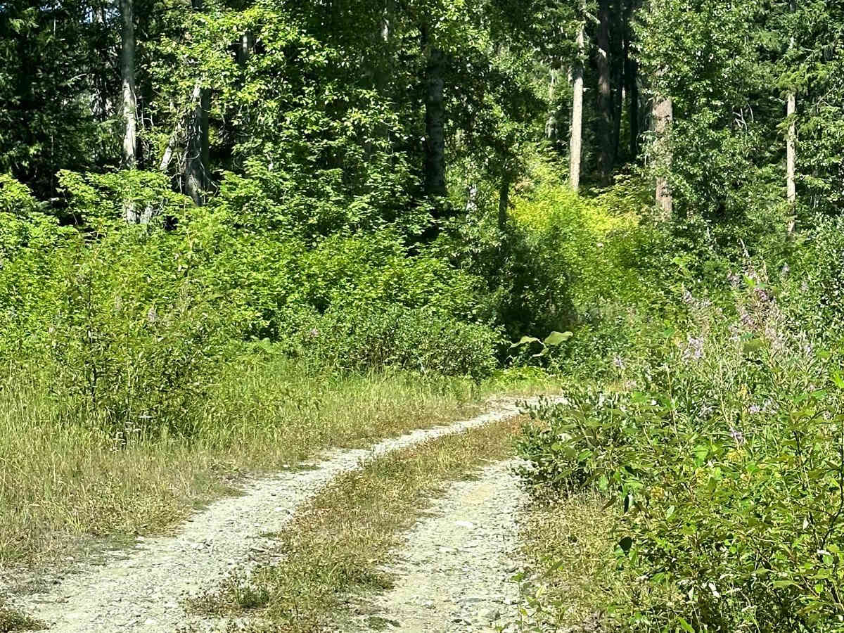 Meadow Ridge Trail photo 6
