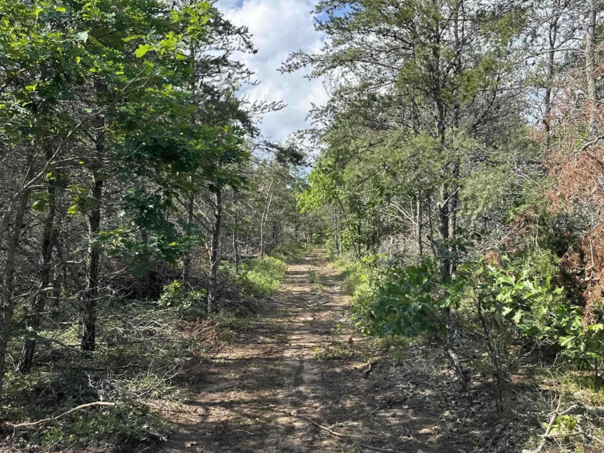 Spring Lake Spur photo 2
