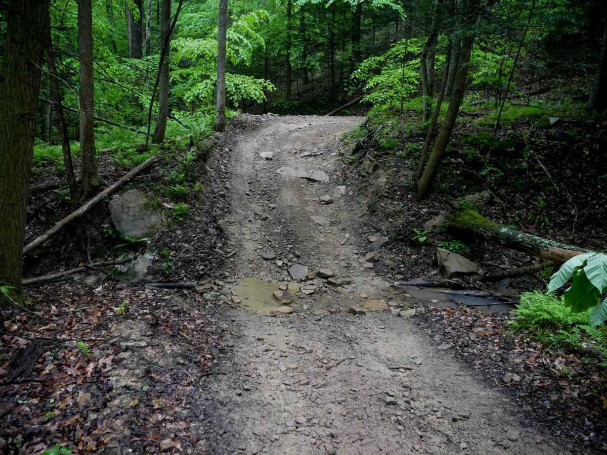 IB 24 trail photo
