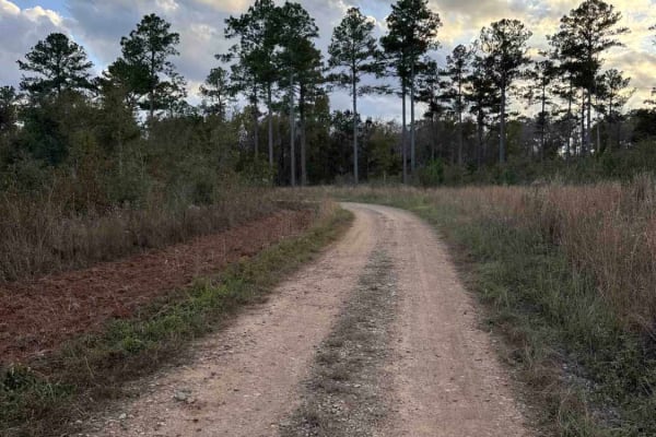 Mud Creek Road